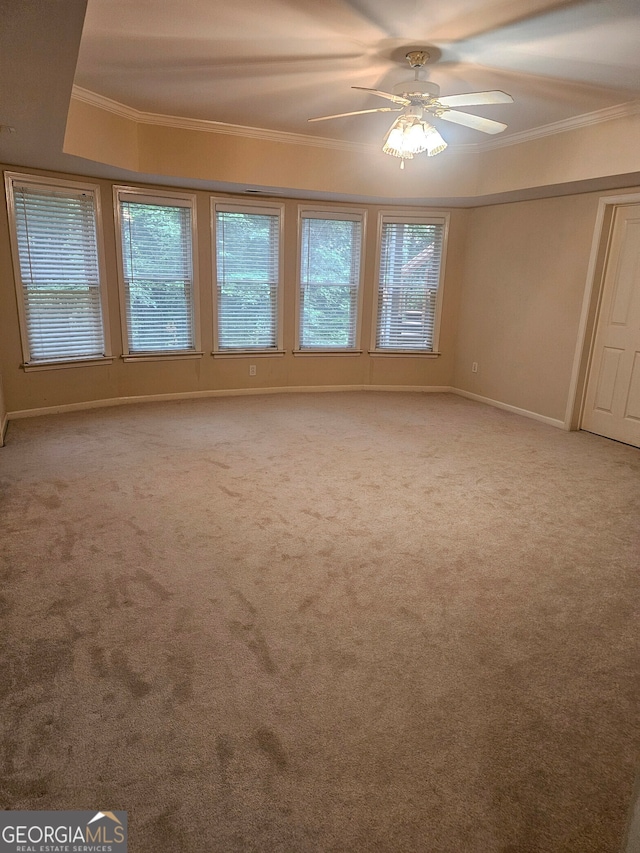 unfurnished bedroom with ceiling fan, crown molding, and carpet floors