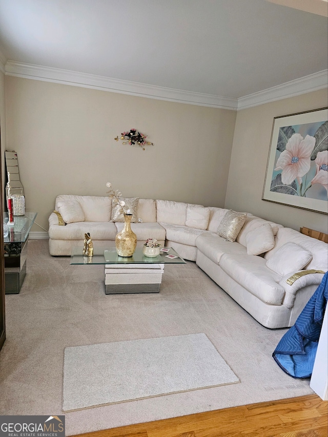 living room featuring hardwood / wood-style floors and crown molding