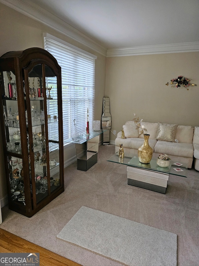 living room with crown molding and carpet floors