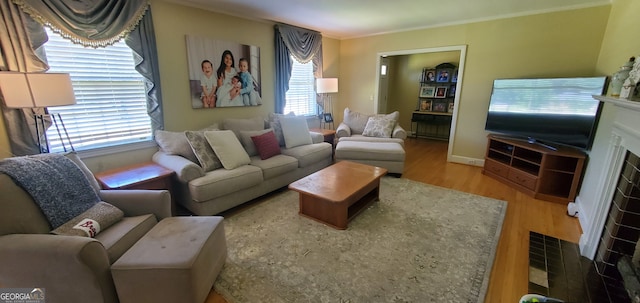 living room featuring ornamental molding and hardwood / wood-style flooring