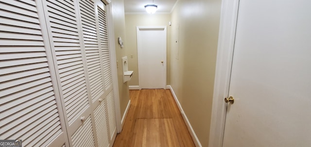 hall featuring ornamental molding and wood-type flooring