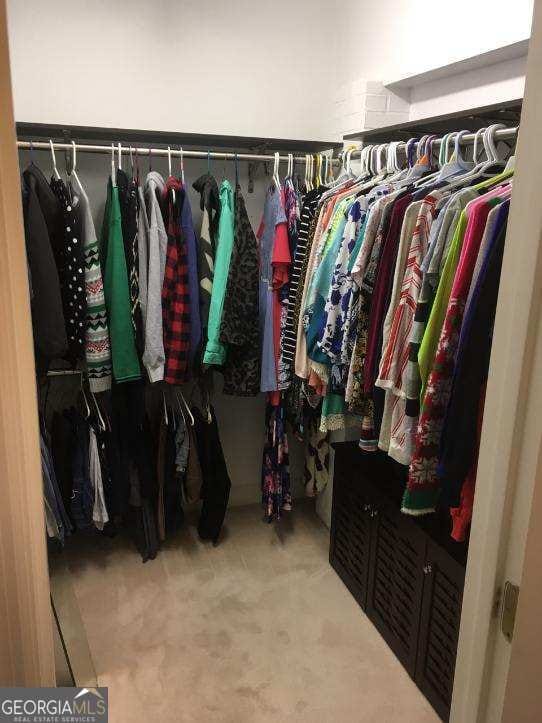 walk in closet with carpet