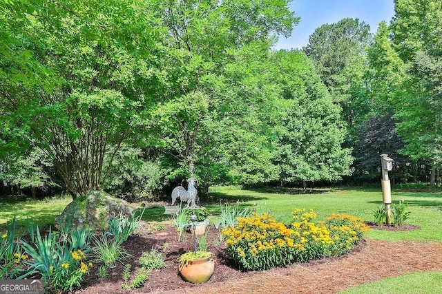 view of green lawn