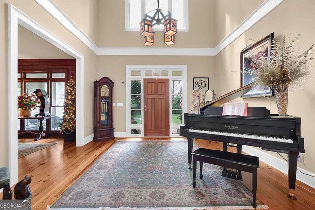 foyer featuring a high ceiling, plenty of natural light, wood finished floors, and baseboards