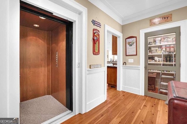 hallway featuring crown molding and light wood-type flooring