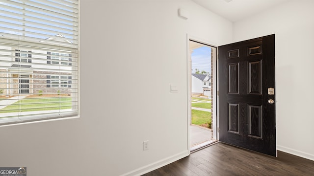 foyer entrance with dark wood-type flooring