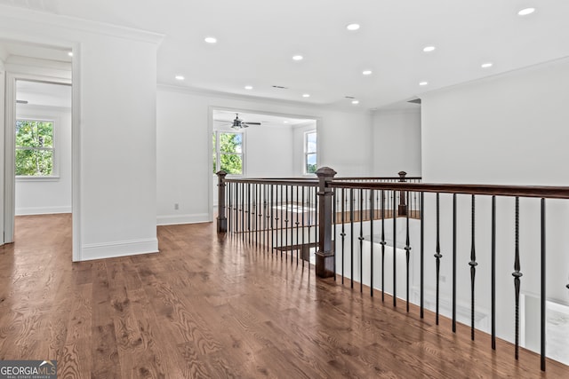 corridor with ornamental molding, hardwood / wood-style floors, and a wealth of natural light