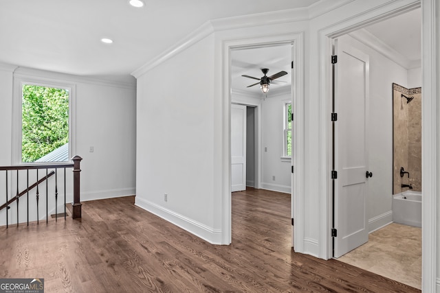 spare room with ornamental molding, hardwood / wood-style flooring, plenty of natural light, and ceiling fan