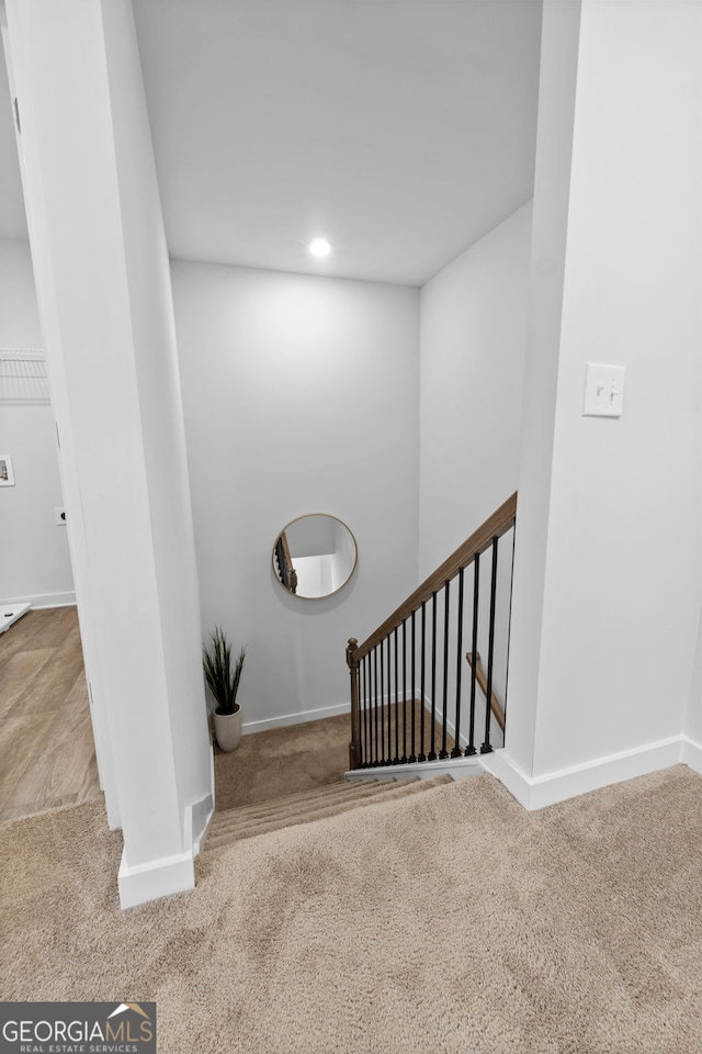 staircase featuring carpet flooring