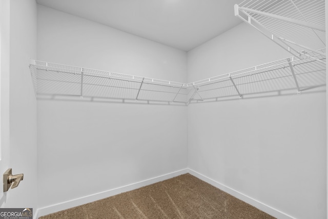 walk in closet featuring carpet