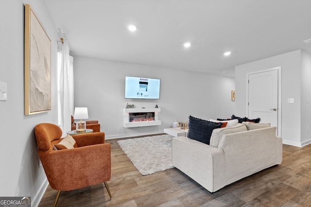 living room featuring wood-type flooring