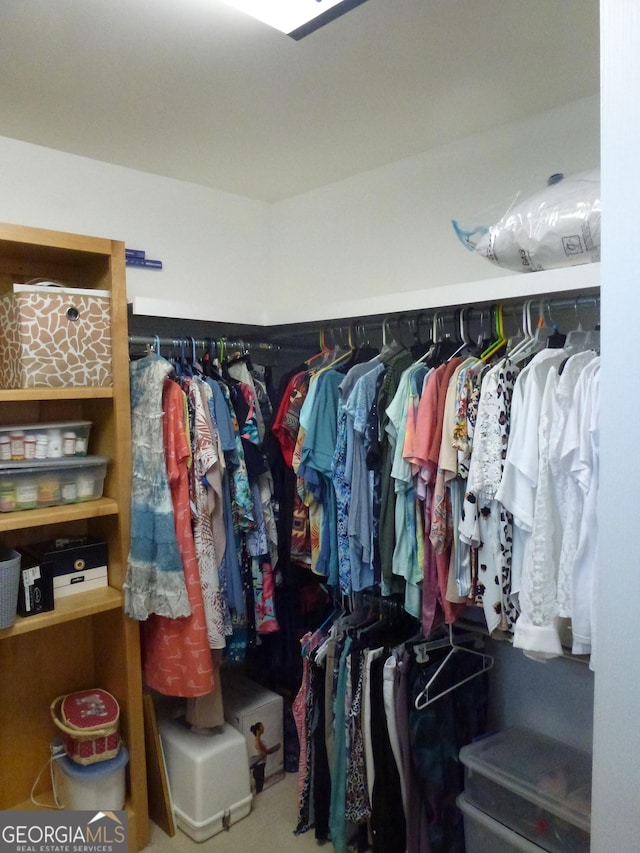 view of walk in closet