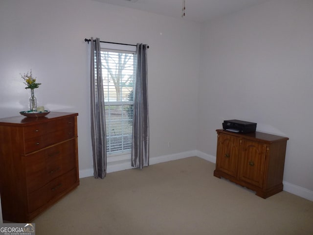 interior space with light colored carpet