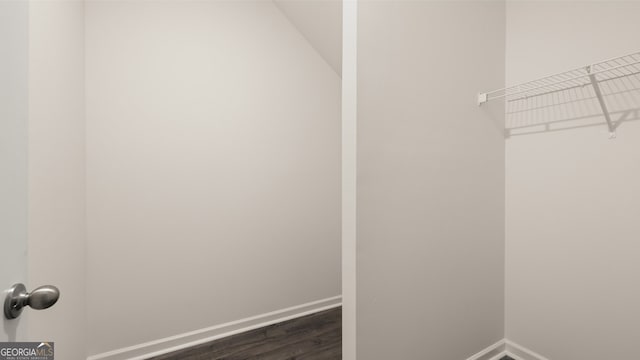 spacious closet featuring dark wood-type flooring