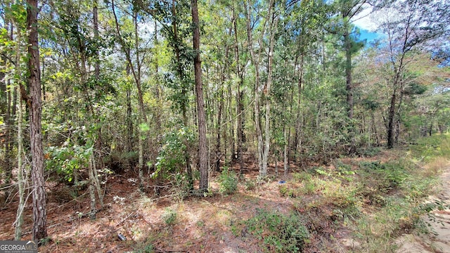 591 Victory Cir, Lyons GA, 30436 land for sale