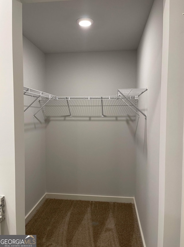 walk in closet featuring carpet floors