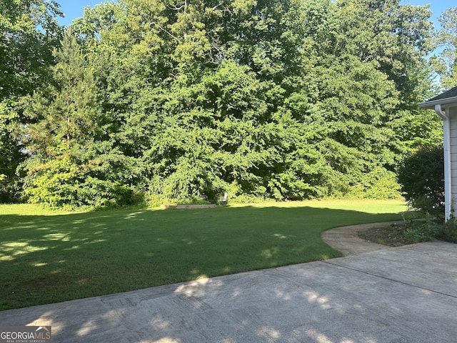 view of yard featuring a patio