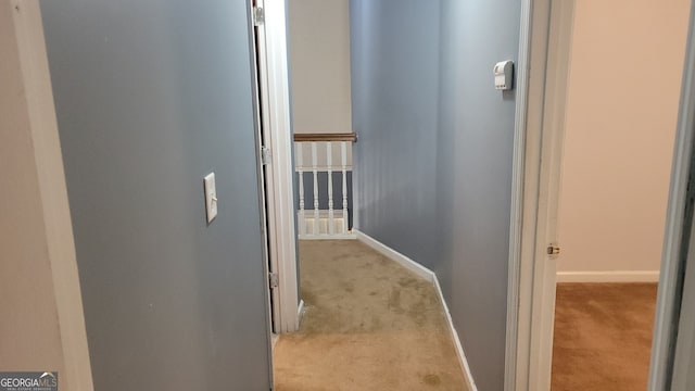 hallway featuring carpet