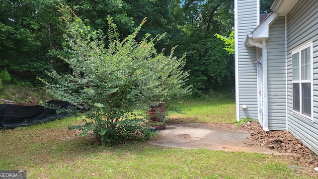 view of yard featuring a patio area