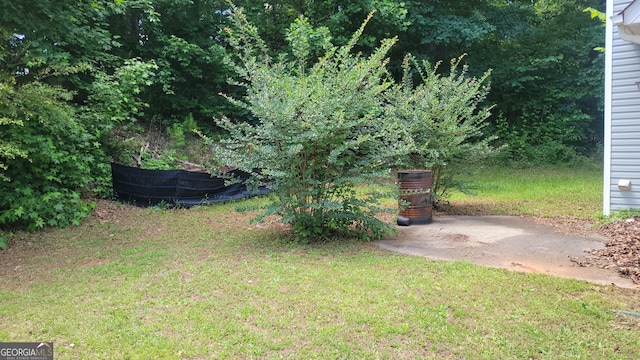 view of yard with a patio