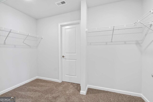 spacious closet featuring carpet floors