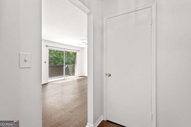 hallway featuring dark hardwood / wood-style flooring