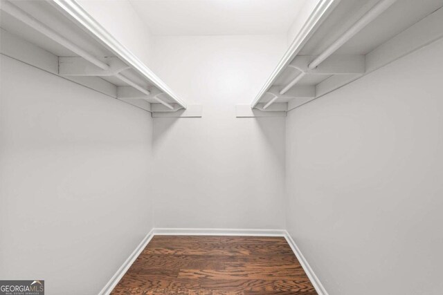 walk in closet with dark wood-type flooring