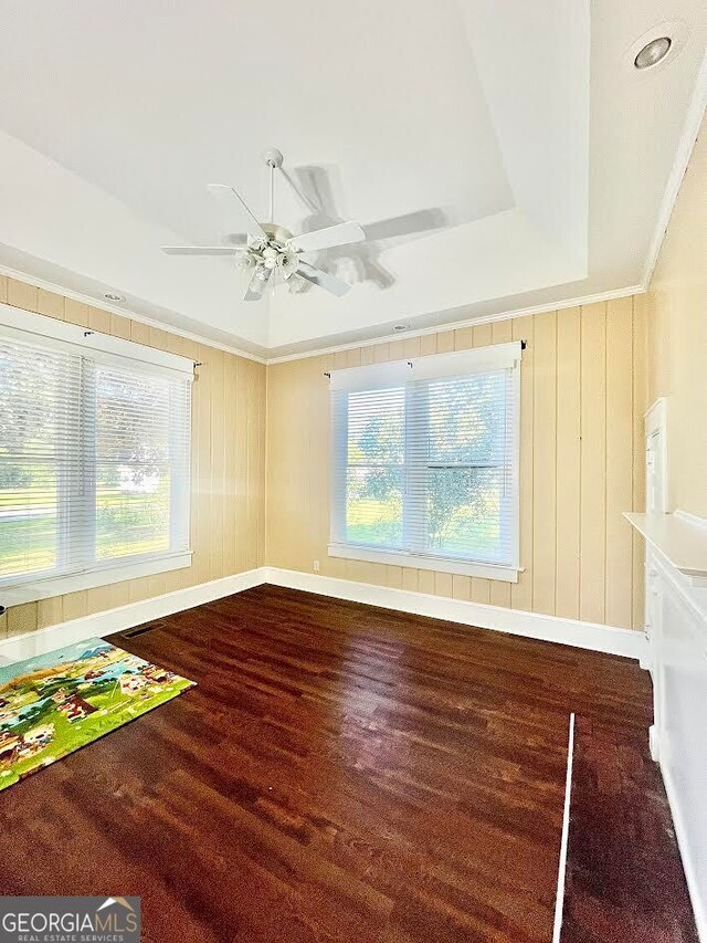 unfurnished room featuring a tray ceiling, ceiling fan, a healthy amount of sunlight, and wood-type flooring