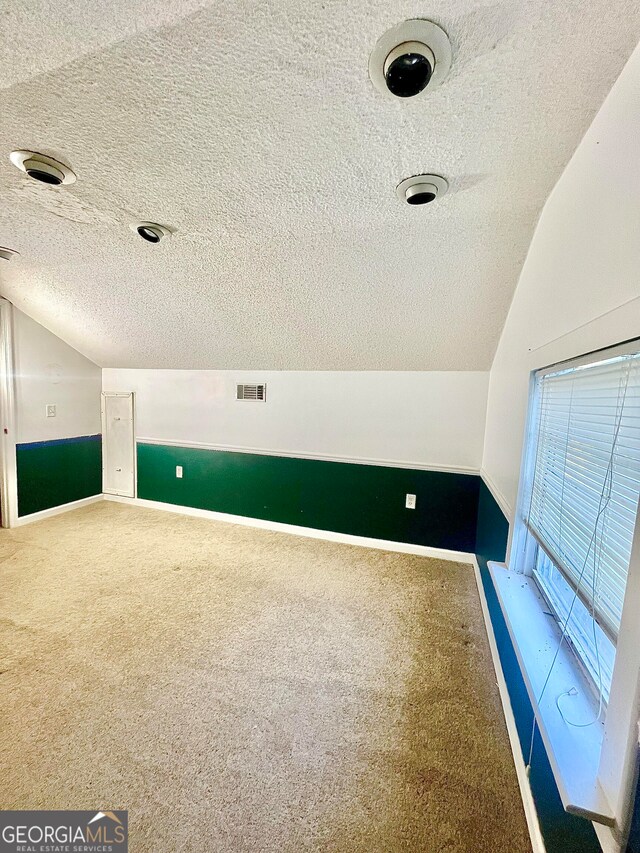 additional living space with a textured ceiling, carpet, and lofted ceiling