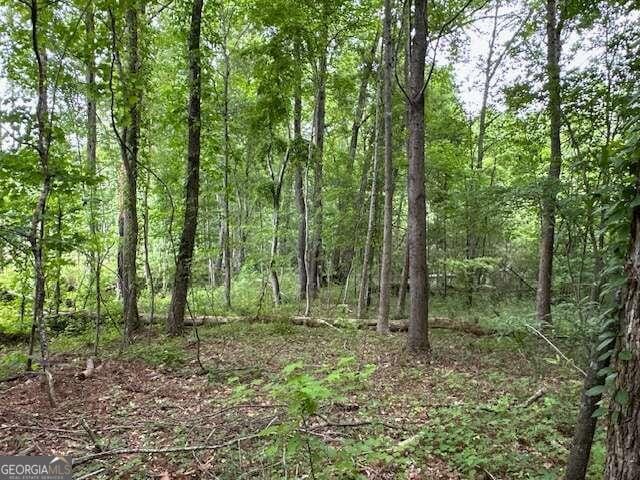 Listing photo 3 for 0 Dallas Nebo Rd, Dallas GA 30157