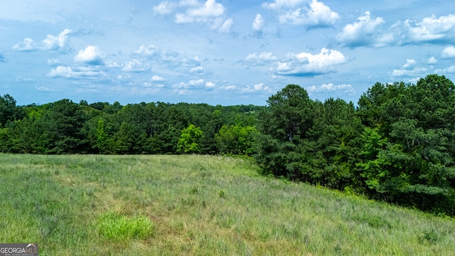 Listing photo 2 for 00 County Road 87, Woodland AL 36280