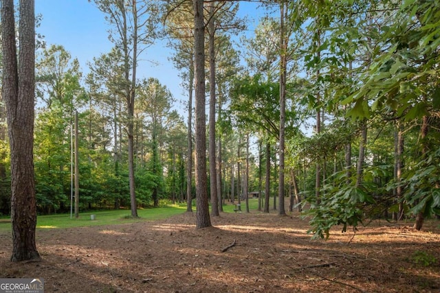 view of local wilderness