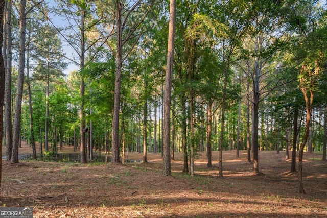 view of local wilderness