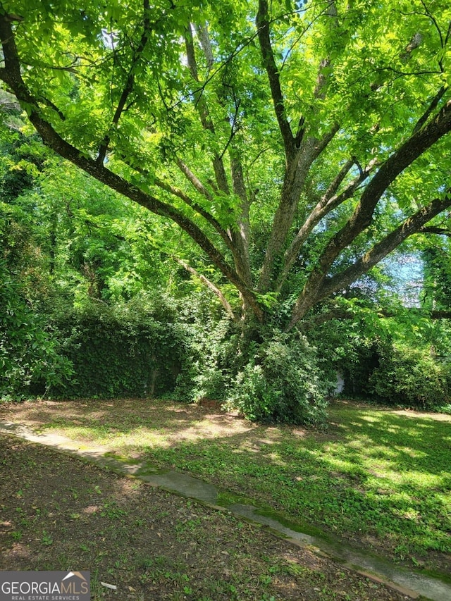 view of local wilderness