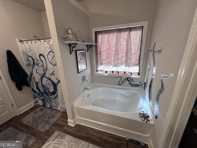 bathroom featuring hardwood / wood-style floors and a bathtub