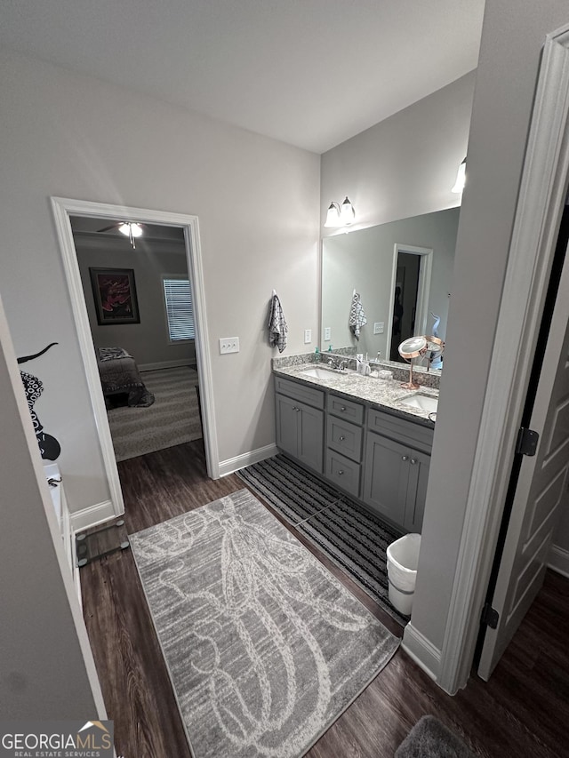 bathroom with hardwood / wood-style floors and vanity