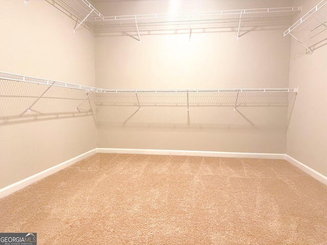 walk in closet with carpet floors