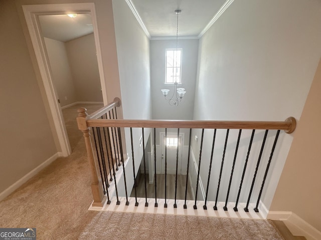 stairs with a chandelier, carpet, and ornamental molding