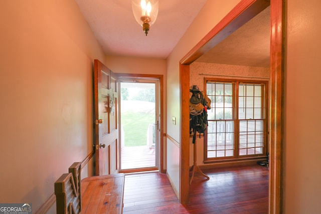 doorway with a textured ceiling and hardwood / wood-style flooring