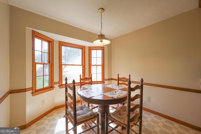 dining room with a textured ceiling and a healthy amount of sunlight