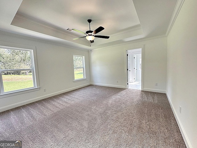 113 Chinaberry St Lot 4, Pine Mountain, GA 31822 - carpeted empty room with a raised ceiling, crown molding, healthy amount of natural light, ceiling fan, and baseboards