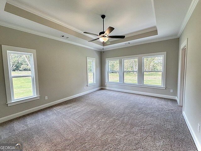 spare room with ceiling fan, a raised ceiling, carpet flooring, and a healthy amount of sunlight