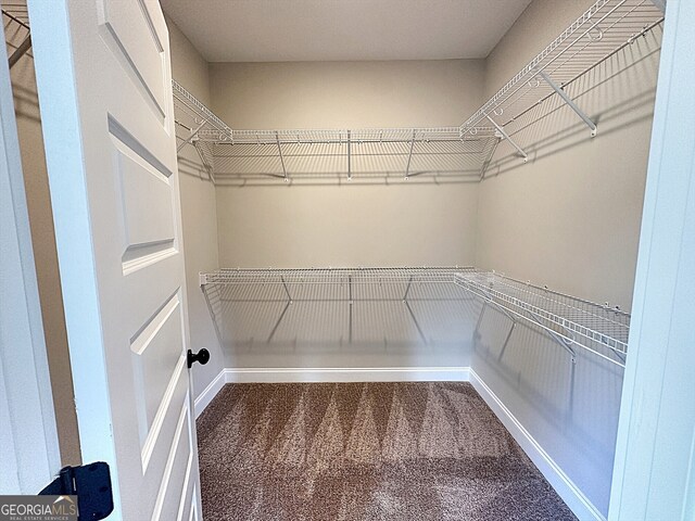 spacious closet with carpet floors