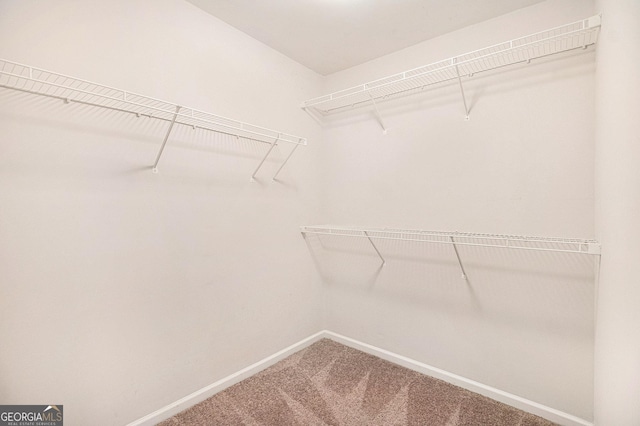 spacious closet with carpet