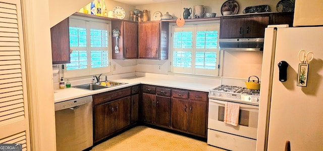 kitchen featuring sink, light tile patterned floors, plenty of natural light, and white appliances