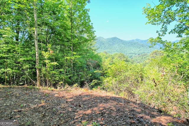 0 Raven Fork Trl, Dillard GA, 30537 land for sale