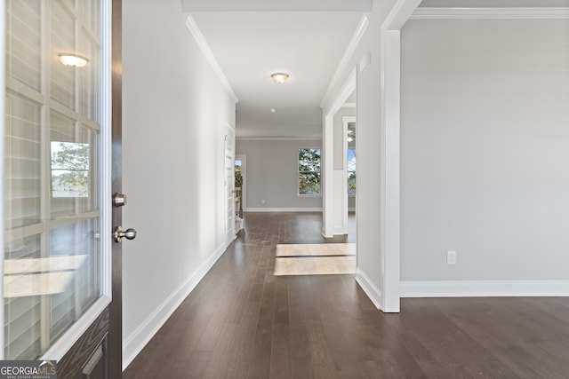 foyer entrance with crown molding and dark hardwood / wood-style flooring