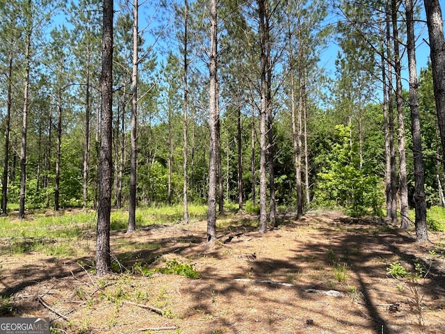 Listing photo 2 for 0 Dewey Thomas Rd Lot 13, Dexter GA 31019