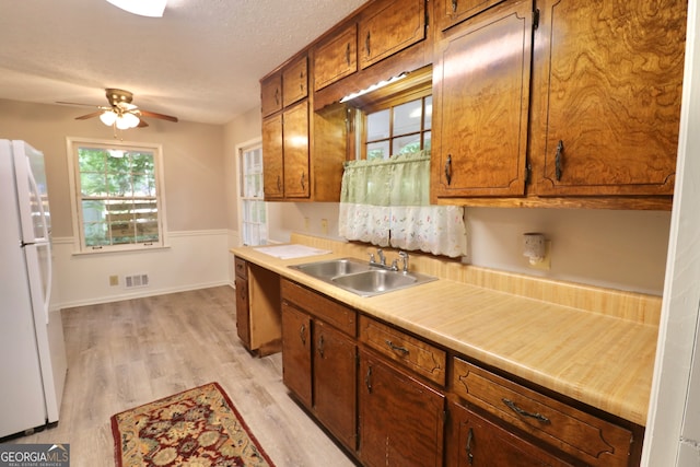 kitchen featuring ceiling fan, light hardwood / wood-style floors, white fridge, a textured ceiling, and sink