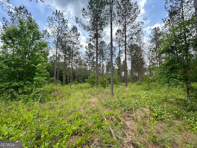 Listing photo 2 for 0 Springhaven Rd Lot 16, Dexter GA 31019